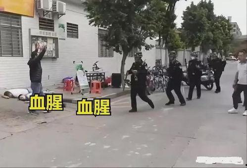 东莞凤岗爆料案件最新,真相揭秘，疑云重重！