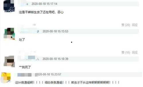 火锅店最新爆料视频下载,火辣幕后大揭秘！