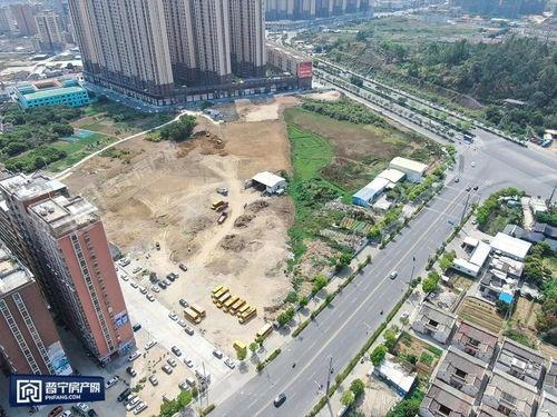 普宁最新爆料电话,电话揭露惊人内幕